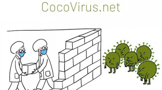 Cocovirus