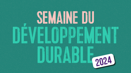 Dev durable