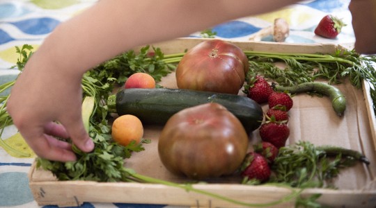 Alimentation saine