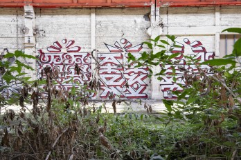 06-2021-11-08-Street-art-Babcock-LD-036.jpg