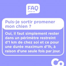 Covid-19-FAQ-carre-8.jpg